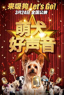史无前例的夫人
